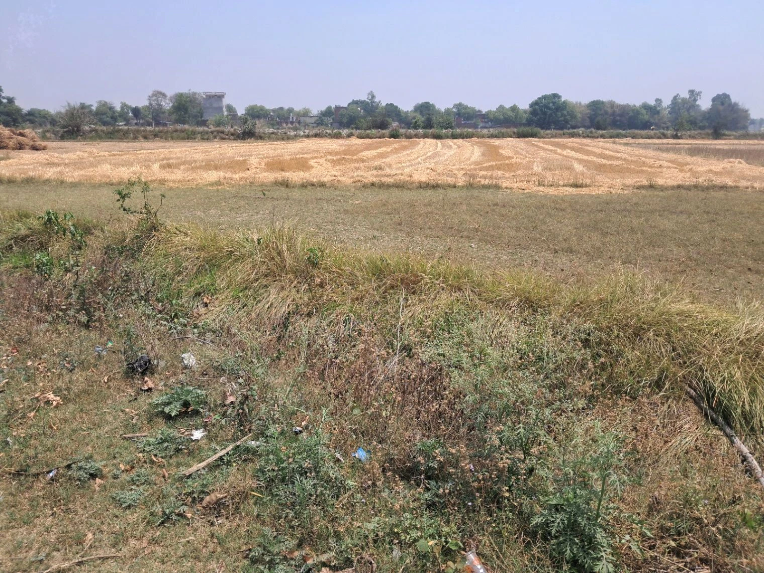 MLIG 78, Saketpuri colony, near Anant Homestay, Faizabad, Uttar Pradesh 224135, India