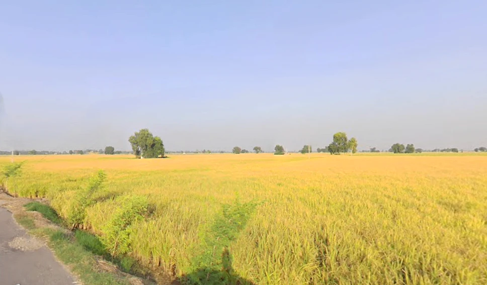 Kariwala, Haryana 125075, India