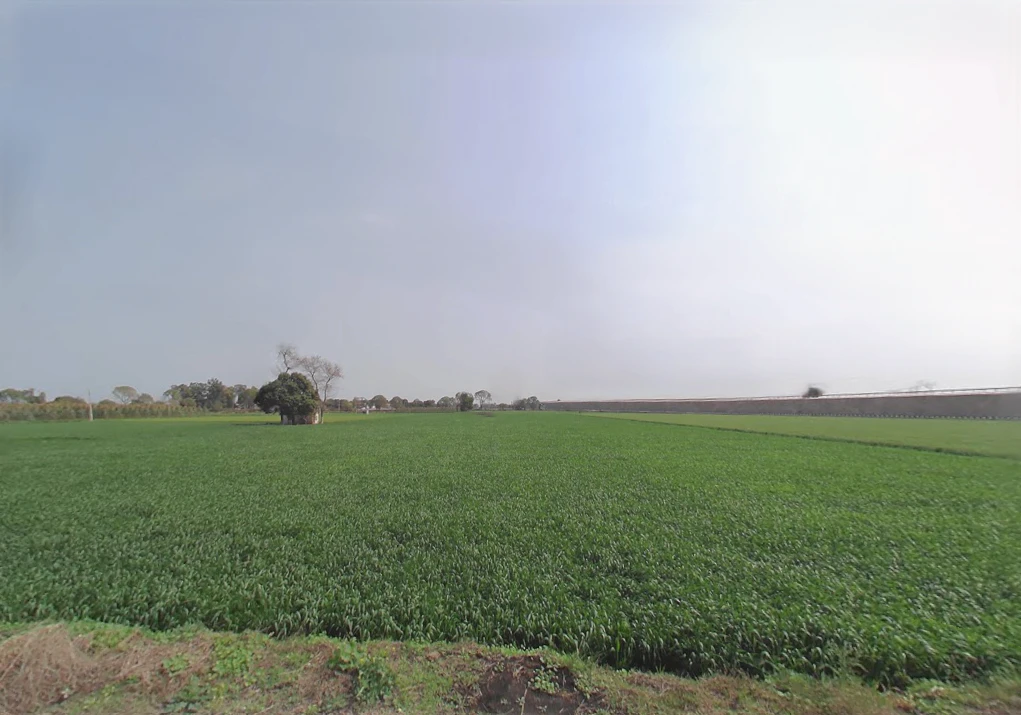 Harsana Kalan, Haryana 131001, India