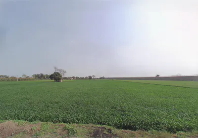 Harsana Kalan, Haryana 131001, India preview 2