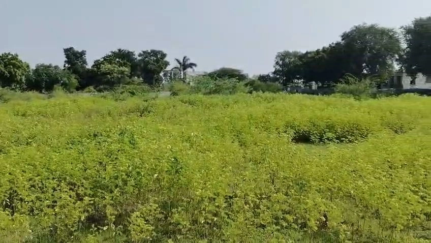 Devli Khurd, Kota, Rajasthan 326519, India