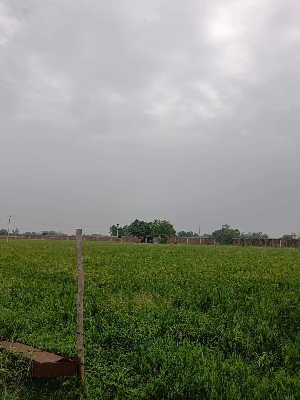 Adampur, Uttar Pradesh, India