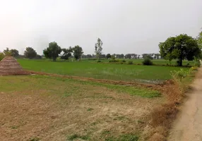 SunderPur, Haryana 126116, India preview 2