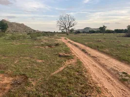 XX93+R8 Tangedukunta, Andhra Pradesh, India preview 2