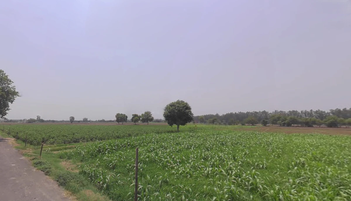 659X+7P Goalhati, West Bengal, India