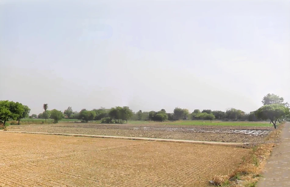 Sikandrabad, Uttar Pradesh 203205, India