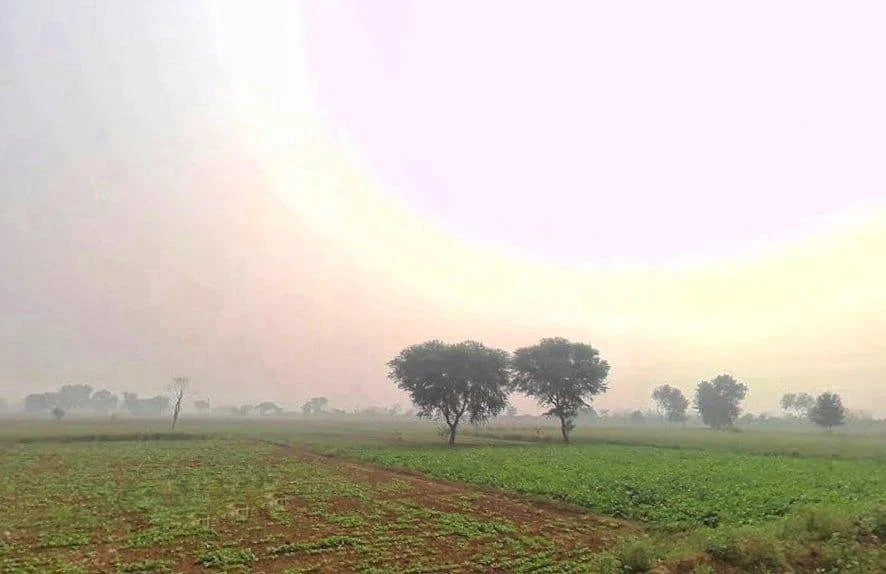 Naugawan, Rajasthan 301411, India