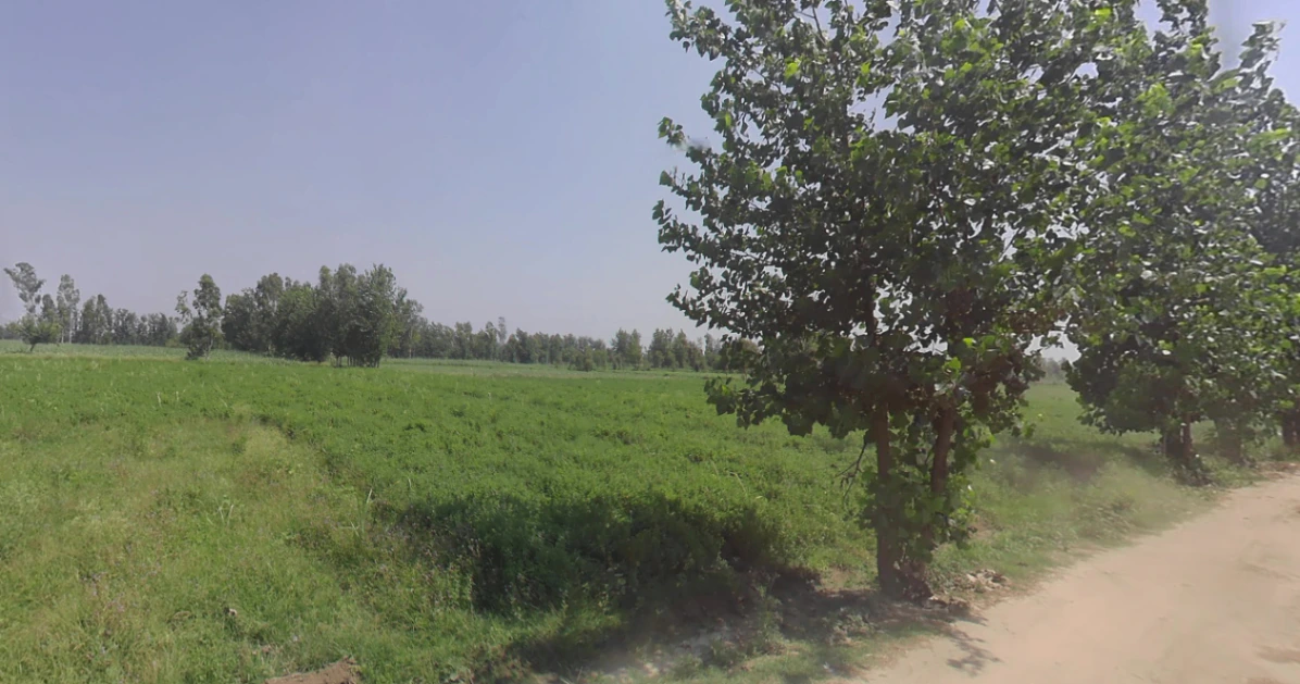 Dhanaura, Uttar Pradesh 244231, India