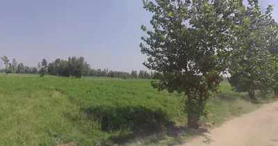 Dhanaura, Uttar Pradesh 244231, India preview 3