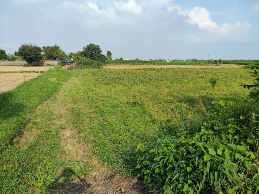 9HCR+4P2, Kanarsa, Uttar Pradesh, India