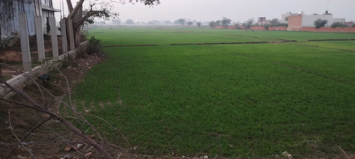 Govardhan, Uttar Pradesh, India