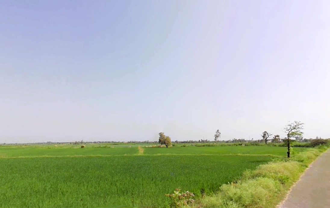 Akehri Madanpur, Haryana 124146, India