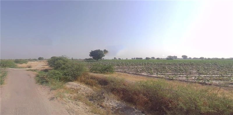 4W6V+6J Goraiya, Gujarat, India