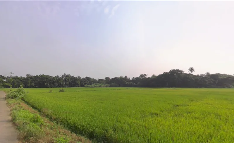 Golpark, Hindustan Park, Gariahat, Kolkata, West Bengal, India preview 3