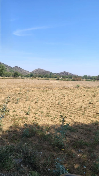 Dehit, Rajasthan 323021, India