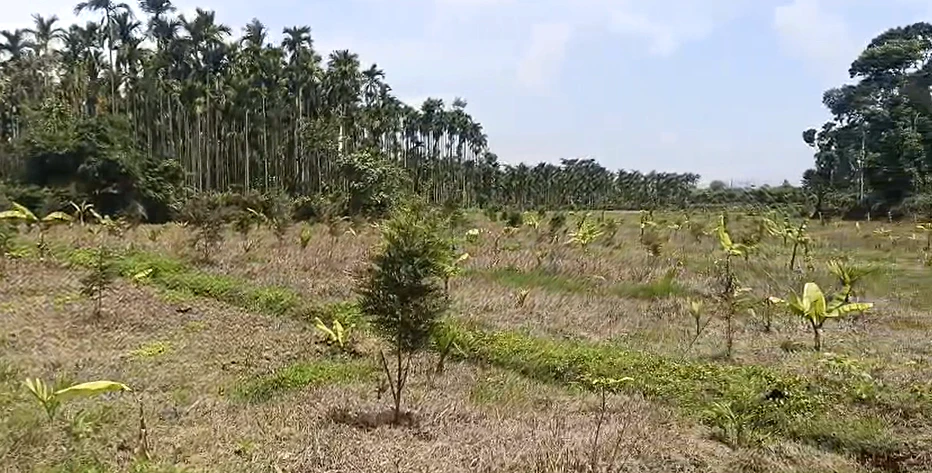 Rajewadi, Palghar, Maharashtra 401603, India