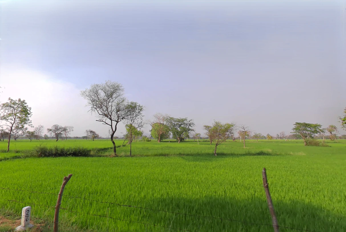 Kunra, Chhattisgarh 493221, India