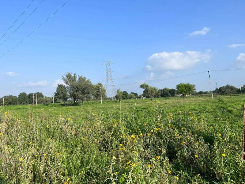 WHJV+8V Keerpura, Rajasthan, India preview 3