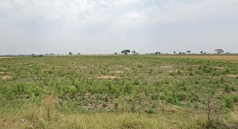 4QF4+W9V, Palkhedi, Madhya Pradesh 456006, India preview 2