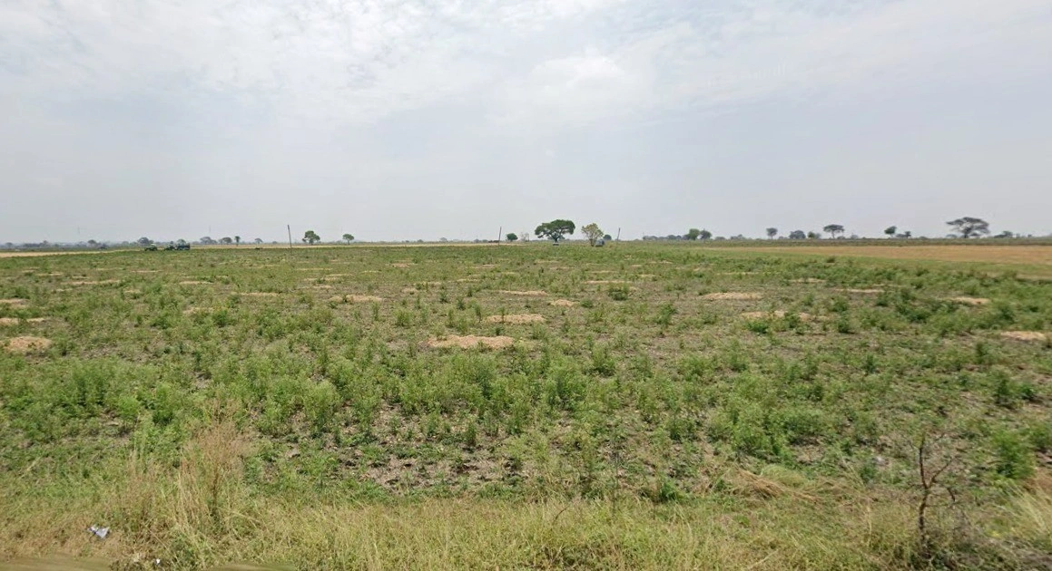4QF4+W9V, Palkhedi, Madhya Pradesh 456006, India