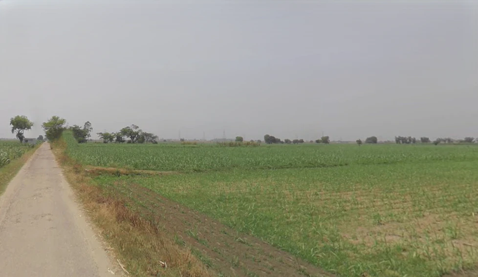 Daurala, Uttar Pradesh 250221, India