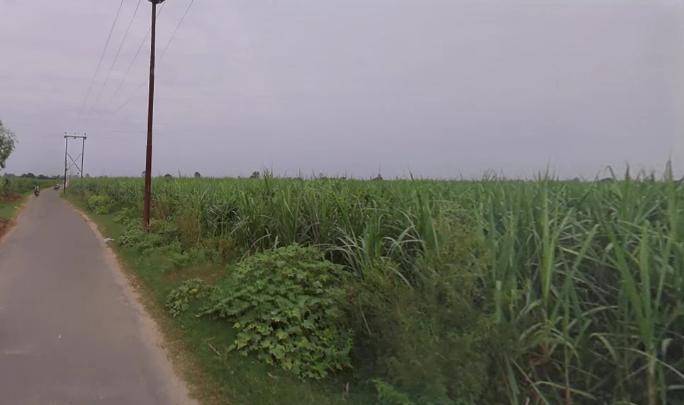 Ramraj, Uttar Pradesh, India