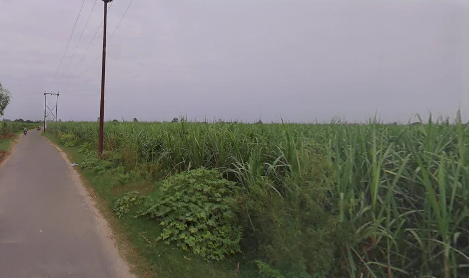 Ramraj, Uttar Pradesh, India