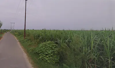 Ramraj, Uttar Pradesh, India preview 2