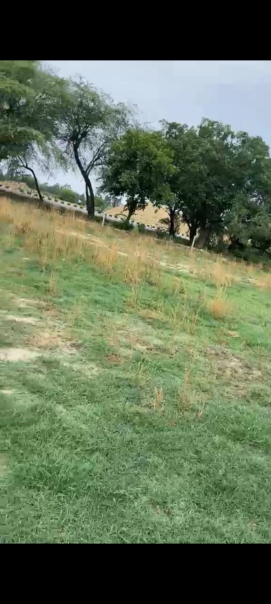 Malihabad, Uttar Pradesh, India