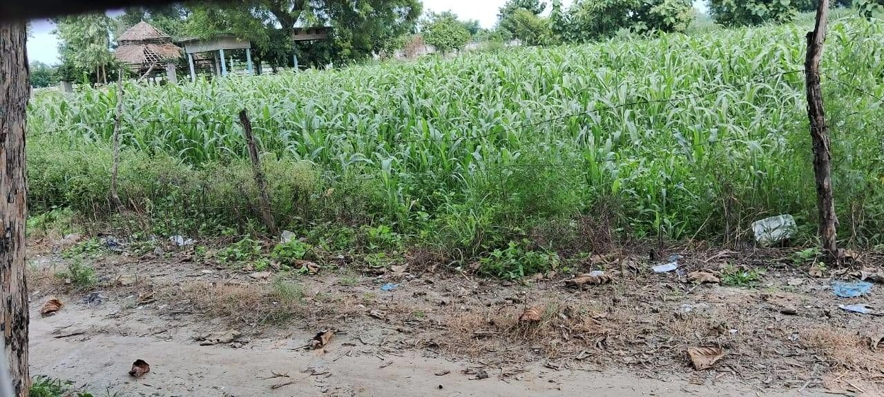 PXQW+P8M, Ayodhya, Khirauni, Uttar Pradesh 224188, India