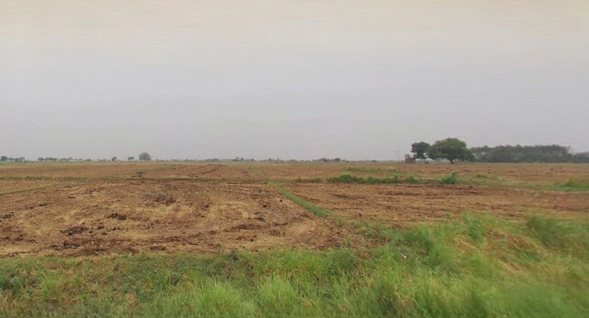 Bazpur, Uttarakhand 262401, India