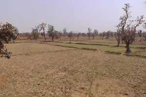 Patewa, Chhattisgarh 493551, India preview 2