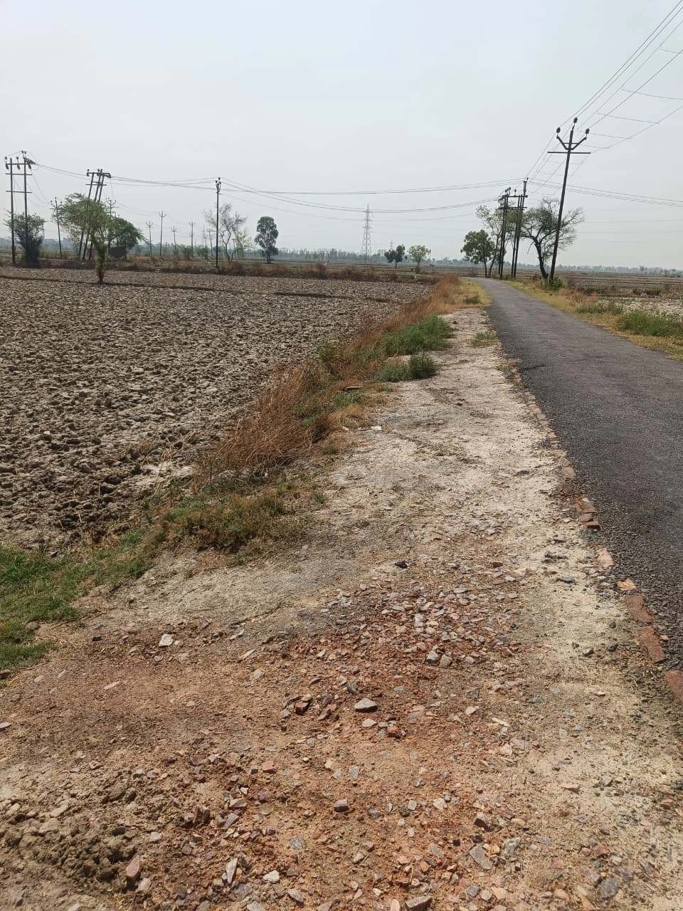 Aou, Rajasthan, India