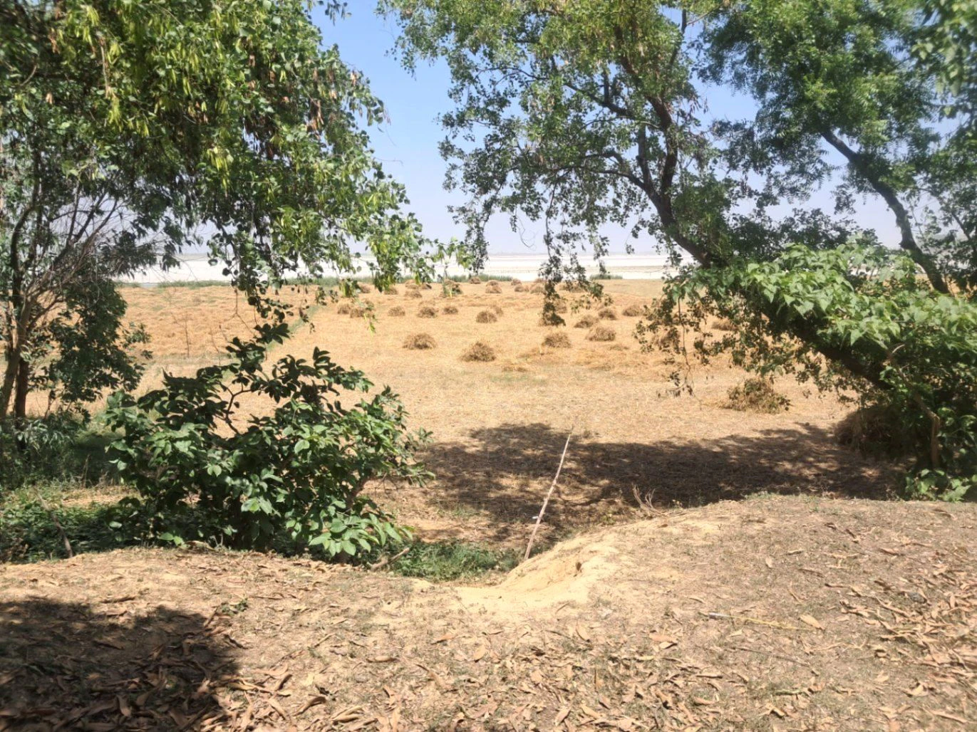 Ravanpur, Uttar Pradesh 276208, India