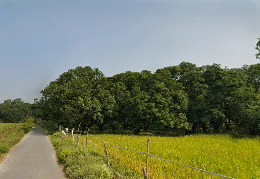 Sohawal, Uttar Pradesh, India