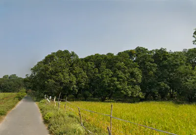 Sohawal, Uttar Pradesh, India preview 3