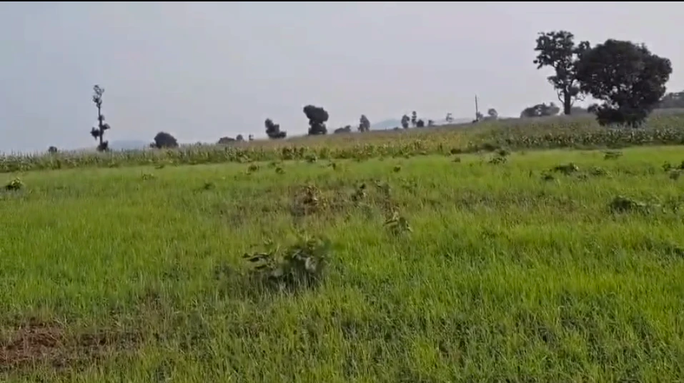 GulabGanj, Vidisha, Madhya Pradesh 464220, India
