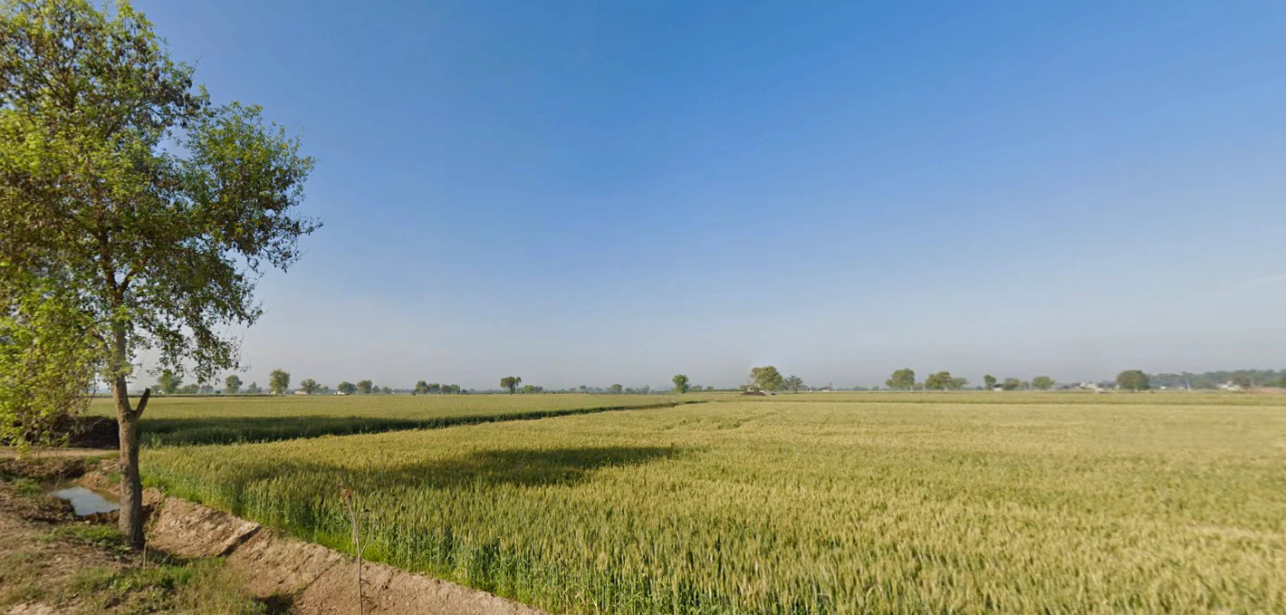 Shahpur, Haryana 132107, India
