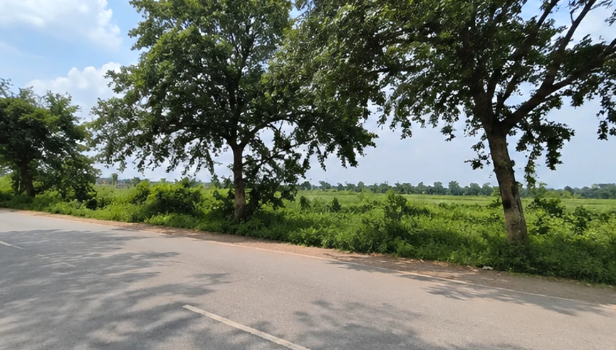 Bawal, Rewari, Haryana, India