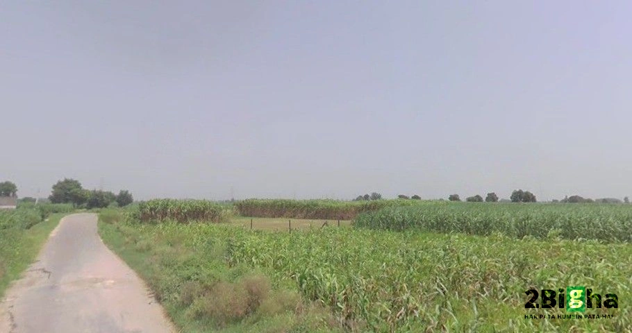 Pithlokar, Uttar Pradesh 250342, India