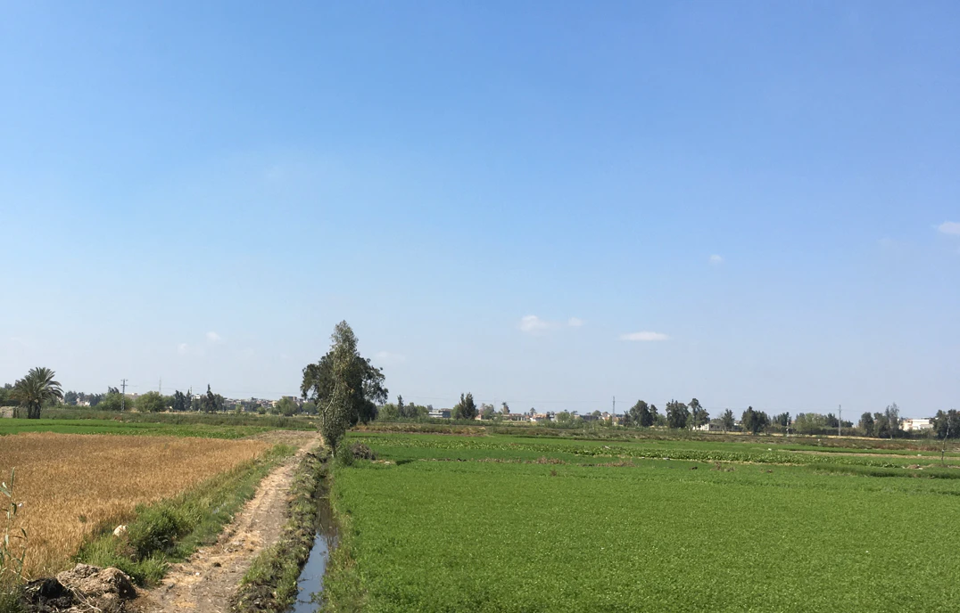 Teonda, Madhya Pradesh, India