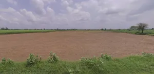 Khudiyana, Rajasthan 321607, India preview 2