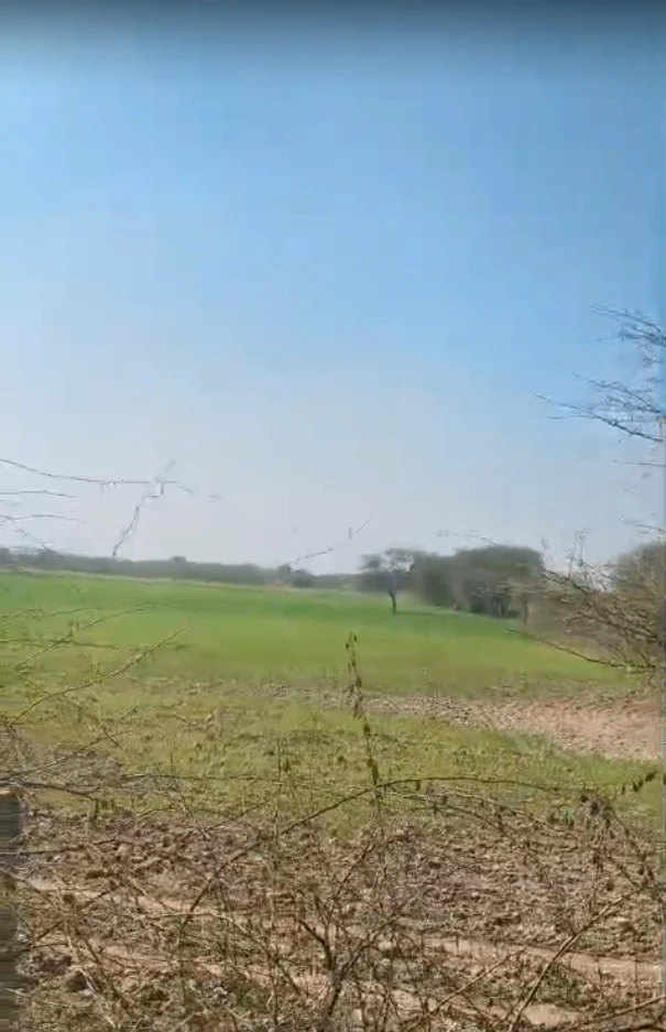 77PV+88 Kantoli, Rajasthan, India