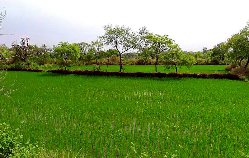 Bhurki, Chhattisgarh 491335, India preview 2