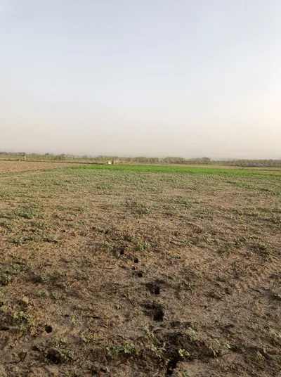 Kharkhoda, Haryana 131402, India preview 2