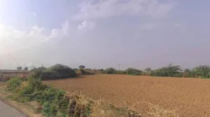 Badakhera, Rajasthan 323603, India preview 3