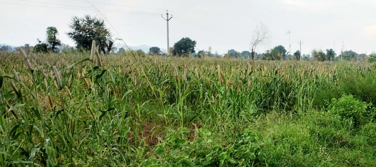 FRPW+WFQ, Alwar, Seetal, Rajasthan 301021, India