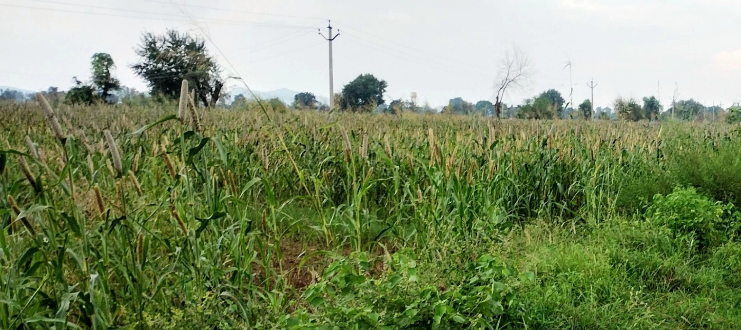 FRPW+WFQ, Alwar, Seetal, Rajasthan 301021, India