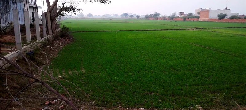 Bahaj, Rajasthan, India preview 2