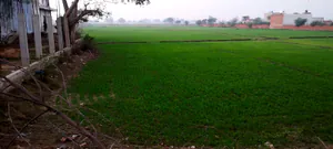 Bahaj, Rajasthan, India preview 2